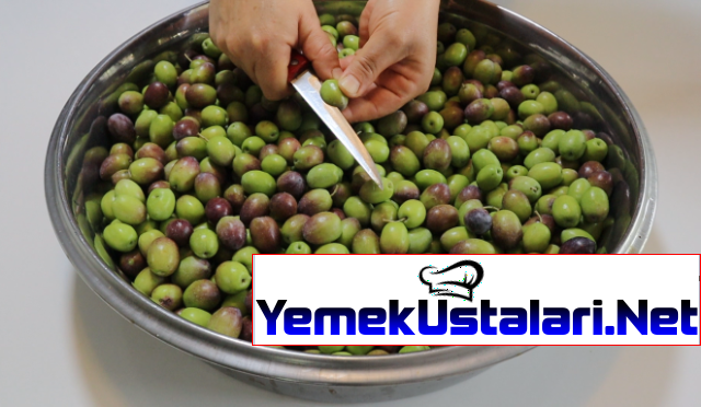 5 Farklı Yöntemle Zeytin Nasıl Yapılır